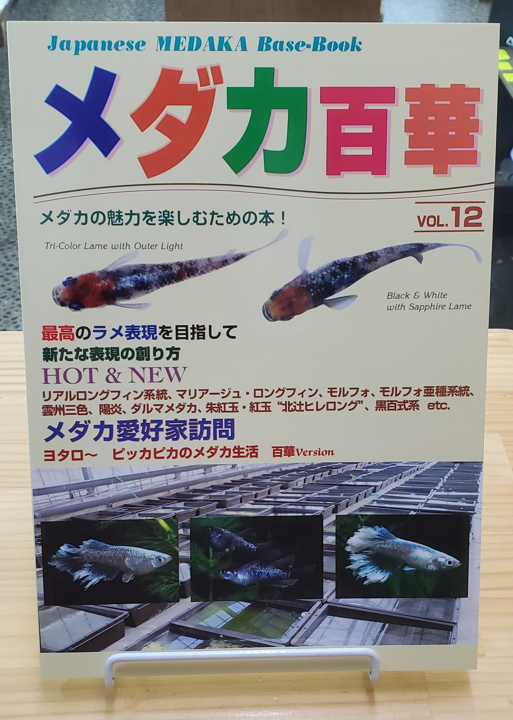 中古品 最終値下げ！ メダカ百華 vol.１〜 - przedszkoleolsztynek.pl